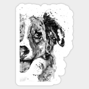 Black and White Half Faced Border Collie Sticker